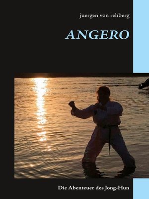 cover image of ANGERO